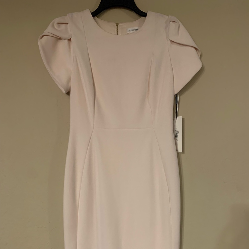Calvin Klein - Blush Dress - Size 6